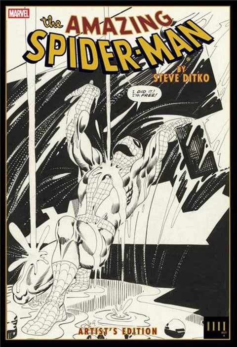 Amazing Spider-Man By Steve Ditko Artists Edition Hardcover Rain Cover