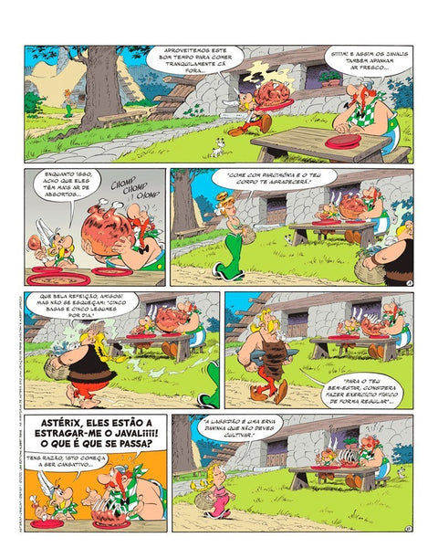 Astérix - O Lírio Branco (Ed. Portuguesa)