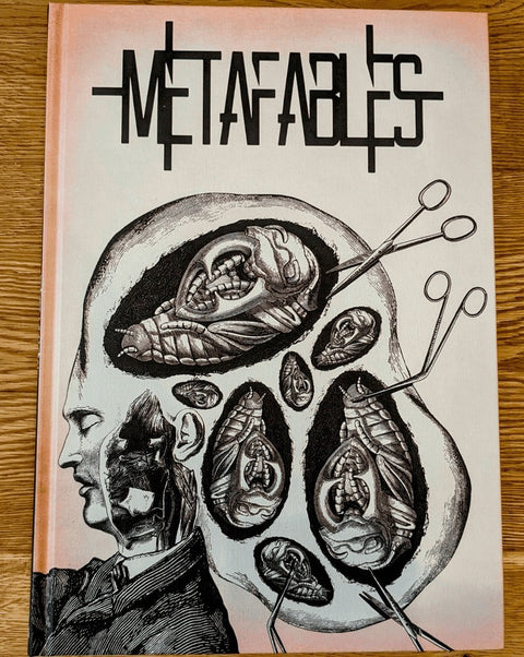 METAFABLES: The Art Of Andrew Blucha HC
