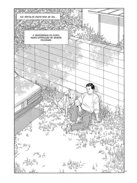 Terra de Sonhos, de Jiro Taniguchi (Ed.Portuguesa, capa dura)