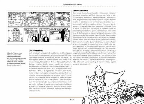 La Malédiction de Rascar Capac Tome 2 - Les secrets du Temple du soleil (Ed. Francesa)