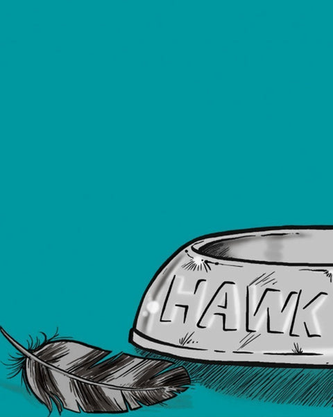 Hawk, de André Oliveira e Osvaldo Medina, capa