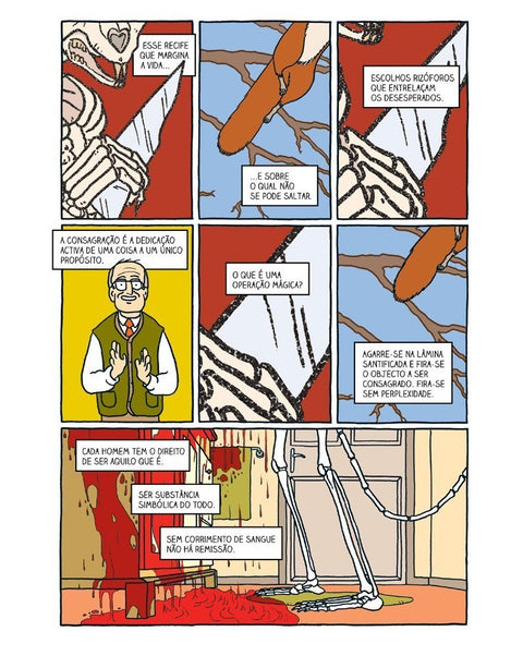 Palmas Para O Esquilo, de David Soares