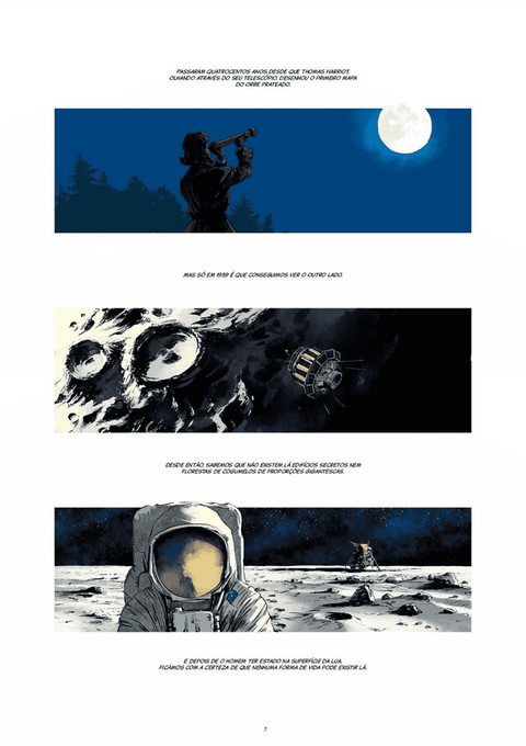 Os Lunáticos