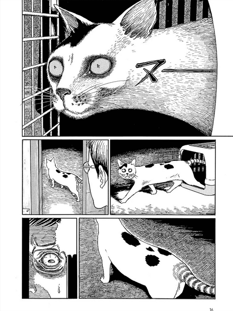 Yon e Mu: O diário felino de Junji Ito