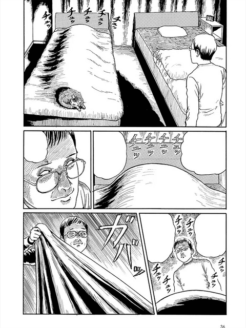 Yon e Mu: O diário felino de Junji Ito